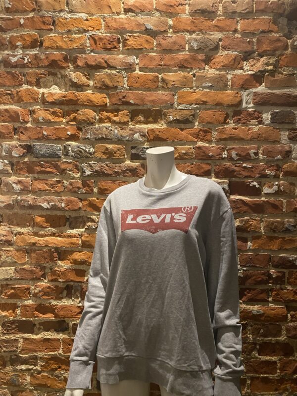 Levi’s Sweater (Size: M)