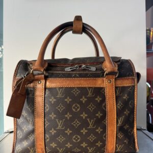Louis Vuitton Dog Carry Bag 35
